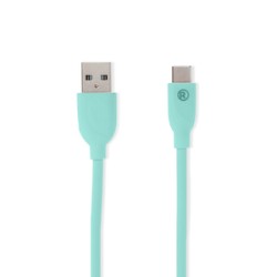 Cable USB 2.0 Tipo A a Tipo C RadioShack 1 m Verde